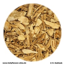 Maeusedornwurzelstock (Rusci rhizoma)