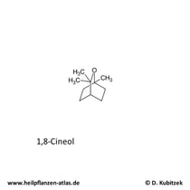 1,8-Cineol