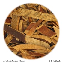 Chinesische-Esche-Rinde (Fraxini rhynchophyllae cortex). TCM-Name: Qinpi