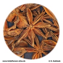 Sternanis (Anisi stellati fructus)