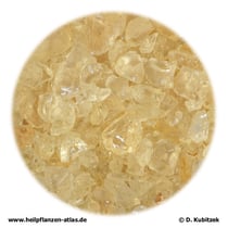 Arabisches Gummi (Acaciae gummi, Gummi arabicum)