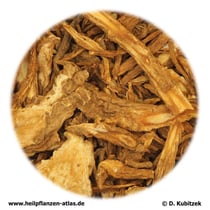 Angelica-sinensis-Wurzel (Angelicae sinensis radix). TCM-Name: Danggui.