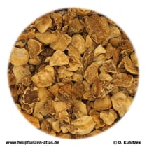 Teufelskrallenwurzel (Harpagophyti radix)