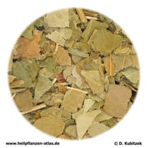 Eschenblätter (Fraxini folium)