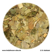 Efeublätter (Hederae folium)