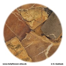 Eucommiarinde (Eucommiae cortex). TCM-Name: Duzhong.