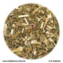 Herzgespannkraut (Leonuri cardiacae herba)