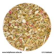 Tausendgüldenkraut (Centaurii herba)