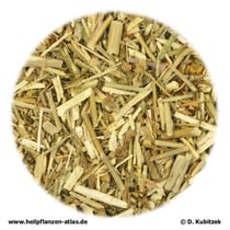 Weg-Raukenkraut (Sisymbrii officinalis herba)