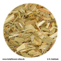 Haferkraut (Avenae herba)