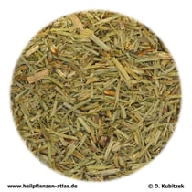 Schachtelhalmkraut (Equiseti herba)