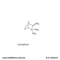 Camphen