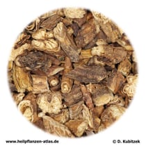 Chinesische-Küchenschelle-Wurzelstock mit Wurzel (Pulsatillae chinensis rhizoma et radix), TCM: Baitouweng, 白头翁