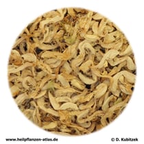 Taubnesselblüten (Lamii albi flos)