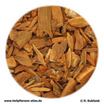 Chinarinde (Cinchonae cortex)