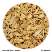 Bitterorangenblüten (Aurantii amaris flos)