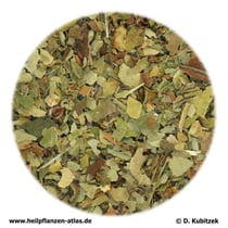 Lungenkraut (Pulmonariae herba)