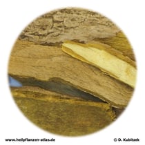 Berberitzenrinde, ganz (Berberidis cortex)