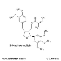 5-Methoxyleoligin Strukturformel