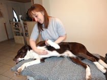 Energie-Fluss aktivieren 