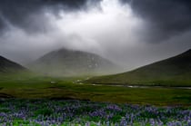 An der Straße 60 bei Pingeyri