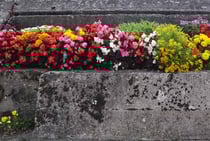 Granville, Mur de l'Atlantic