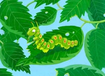 "Mix Max, was gehört zusammen?" | Reihe: Duden Zwerge | Duden Verlag | 2011 | Kinderbuch-Illustration von Tina Schulte