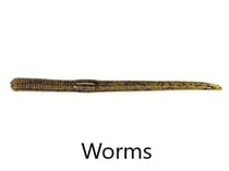 Worms