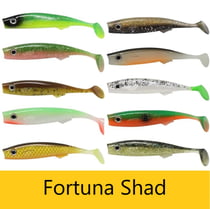 Fortuna Shad