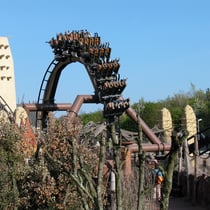 Black Mamba Loop