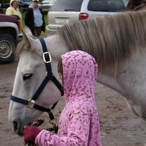Horses and handlers enJoy each other.