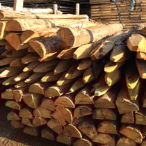 Piquets châtaignier sciés