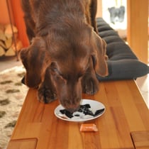 endlich sind die doofen Kerzen weg