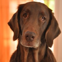 immer noch warten....