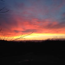 Ein wunderschöner Januar Morgen auf dem Berg 