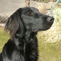 Besten Dank an Susanne und Konrad für die Fotos von Bliss