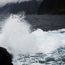 Madeira, lambda photo on dibond. Limited Edition: 8. 