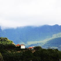 Madeira, lambda photo on dibond. Limited Edition: 8. 