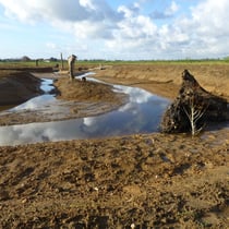 2. Renaturierungsabschnitt am Mühlenbach weiter westlich