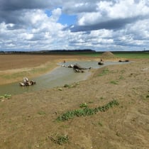 renat. Mühlenbach nach dem Regen, Blick Richtung O und Buchholzer Wald