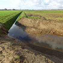 Übergang des renaturierten Abschnittes zum nicht renaturierten Graben