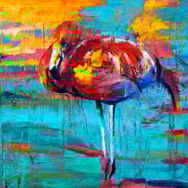 Camargue 2203 14 X 20