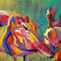 Camargue 2205 14 X 20