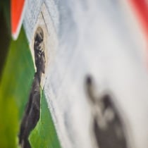 Christine Hohenstein*chin up!