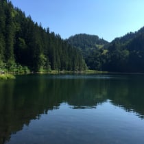 Wanderung Taubensee, schwimmen im Sommer