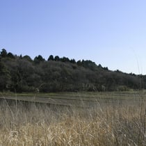 里山と水田