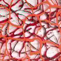 5 Umlauf-Orrom - Detail