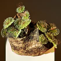 2024 - Kolonie der Blumentiere, 31 x 32 x 30