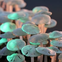 Silent Cry, 2022, 55 x 20 x 25 cm