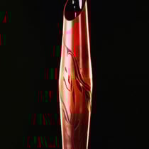 Der siebte Sohn, 2020